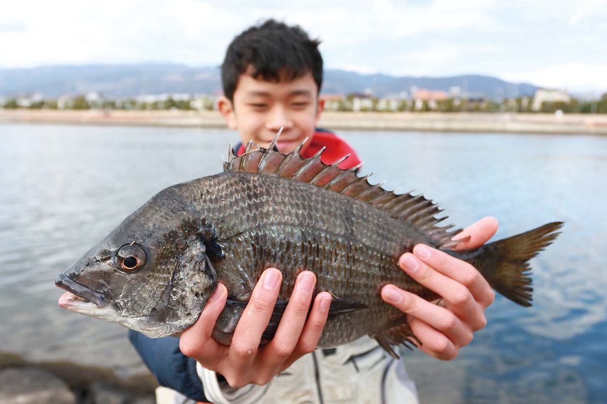 兵庫県芦屋市 南芦屋浜のクロダイ釣り 全国おすすめ釣り場