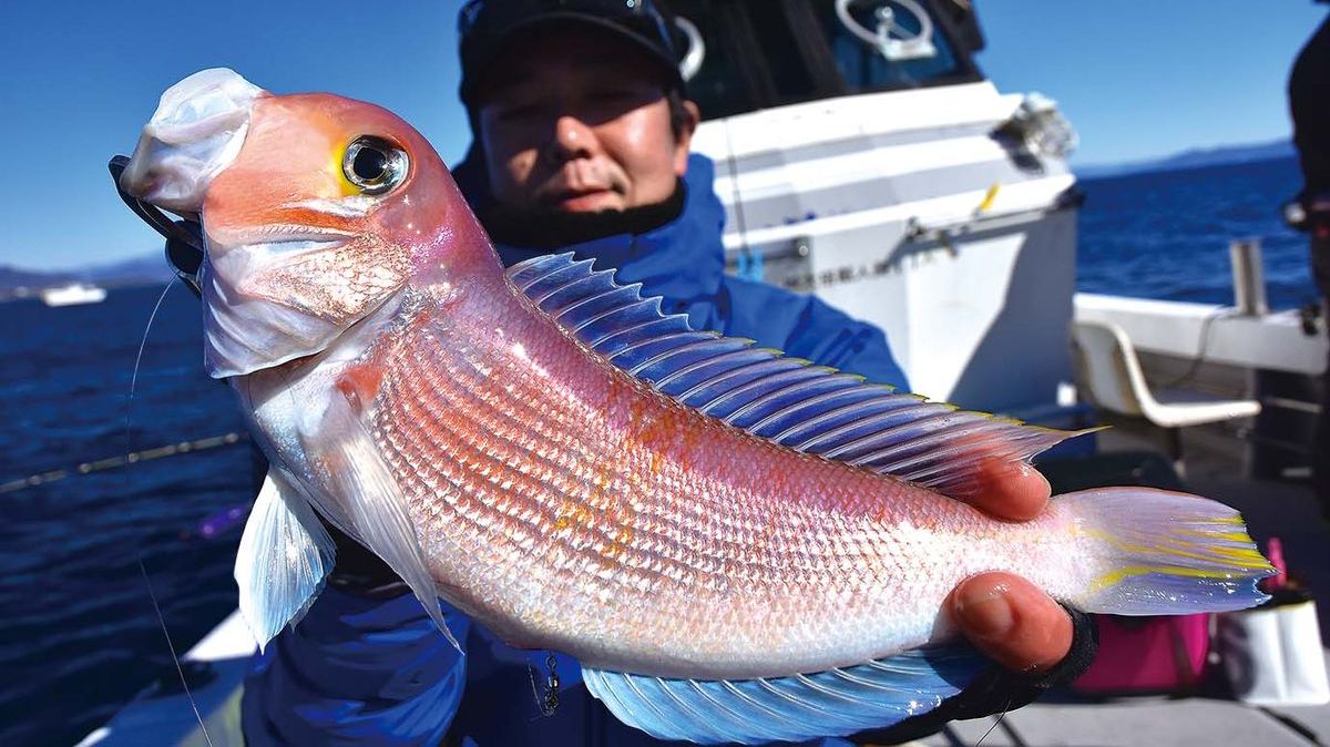 静岡県静岡市 清水沖のアマダイ アカムツ釣り 全国おすすめ釣り場