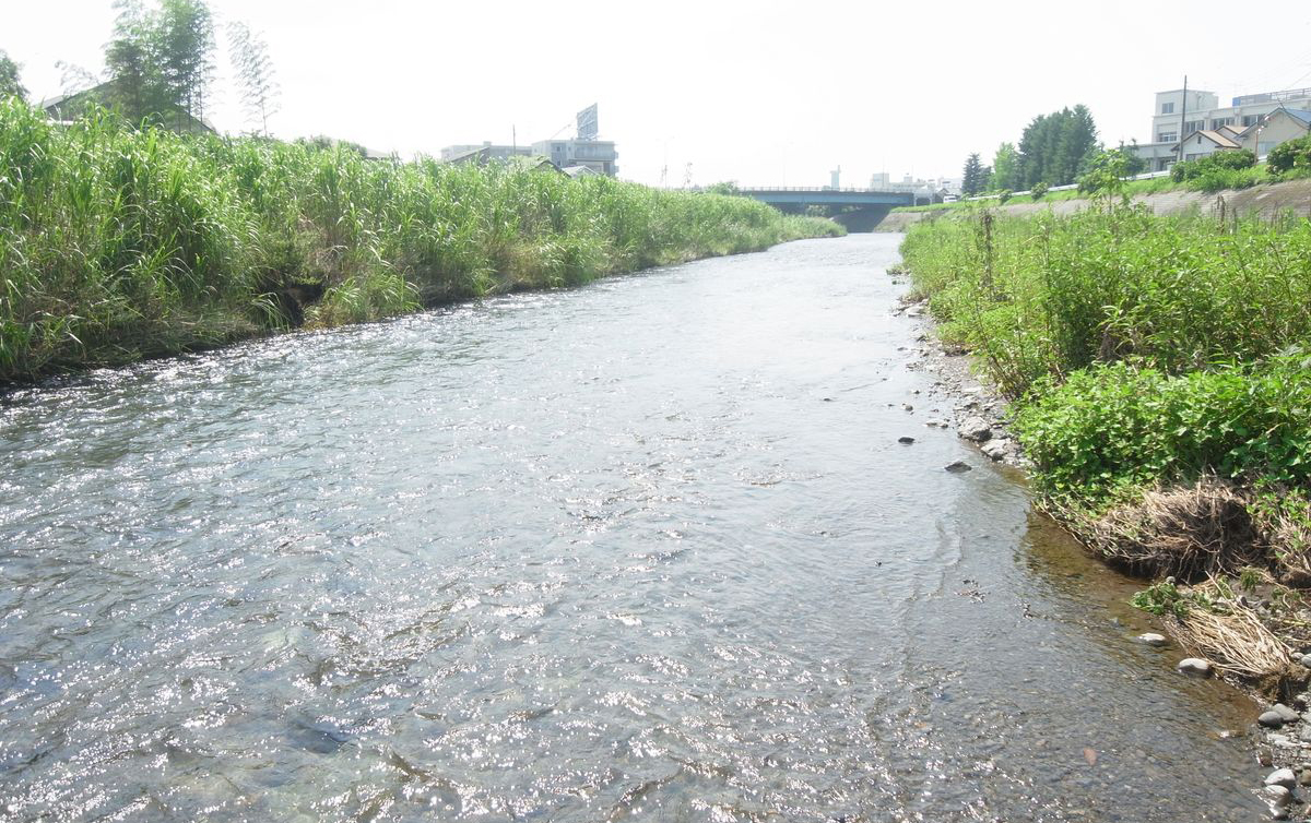 ヤマベ釣り 神奈川県 厚木市 小鮎川 全国おすすめ釣り場