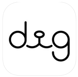 dig-app