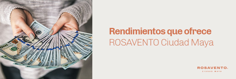 Rendimientos-de-ROSAVENTO_banner