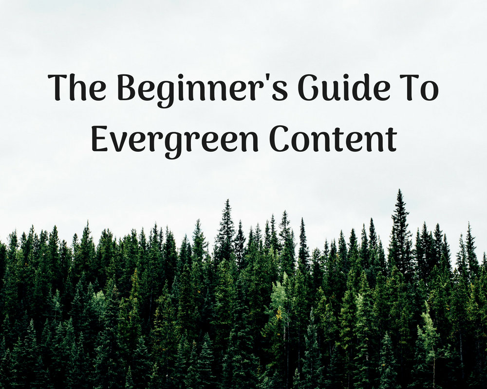The Beginner's Guide To Evergreen Content