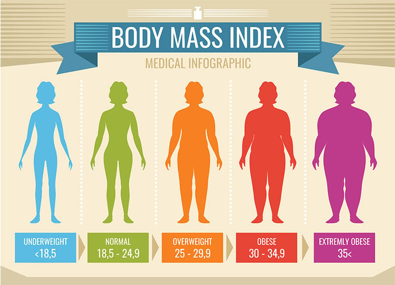 Check My Body Mass Index (BMI)