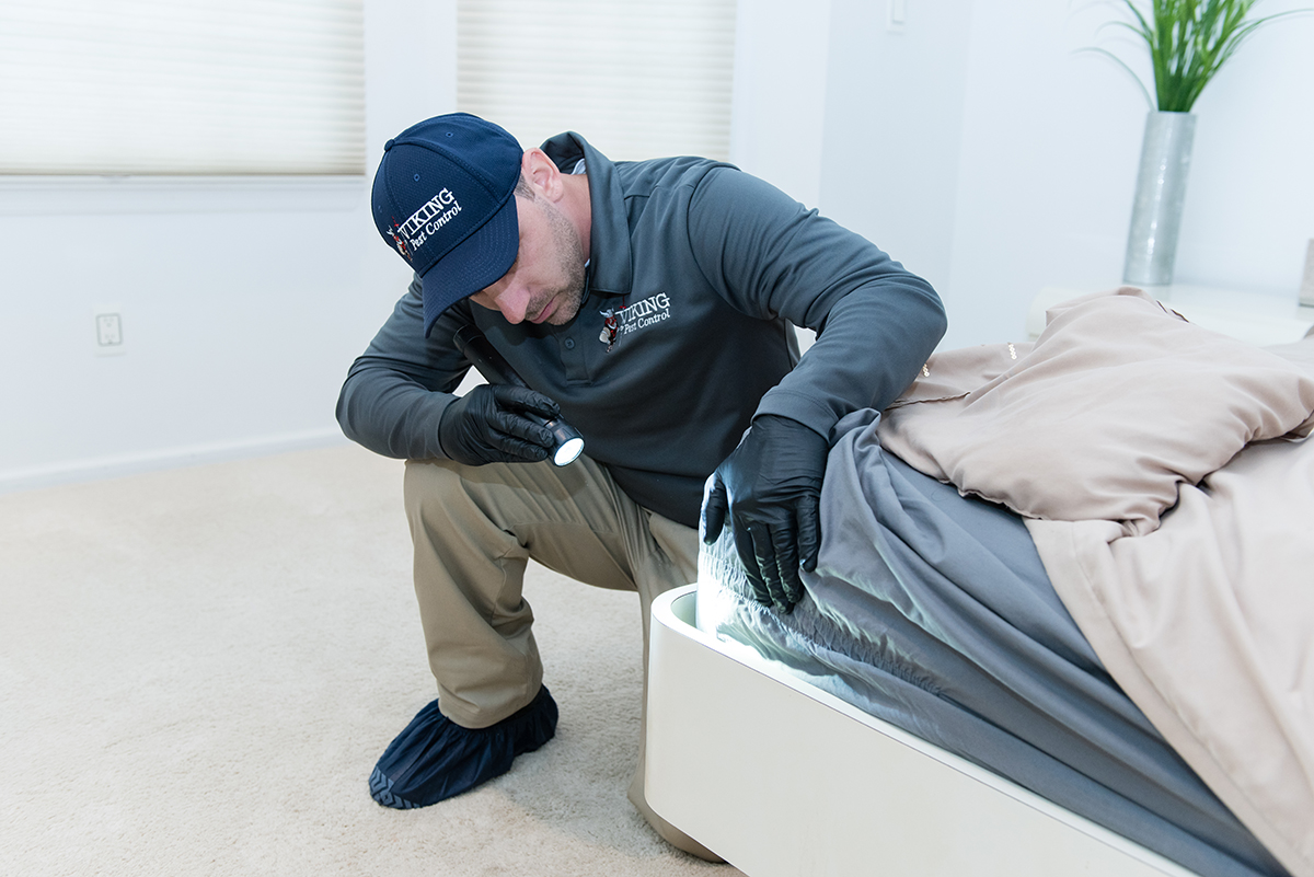 EZ Bed Bug Exterminator NYC