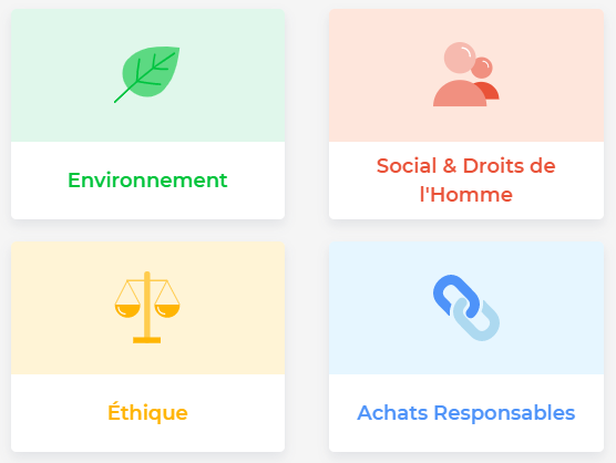 thématiques ecovadis FR