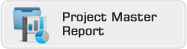 Project Master Report