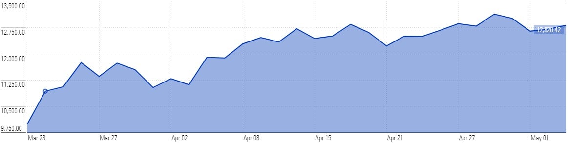 Stock Market Rally - COVID-19