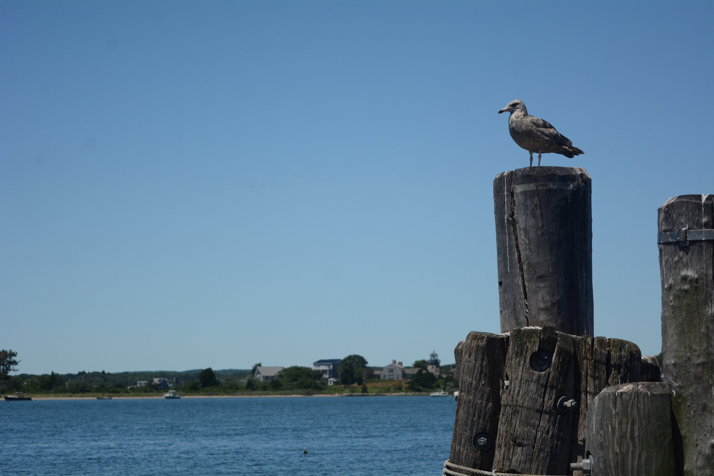 Company News & Events