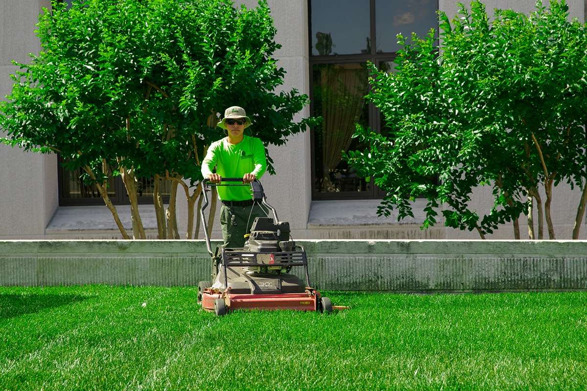 Lawn Fertilization And Weed Control