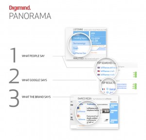 Digimind Panorama