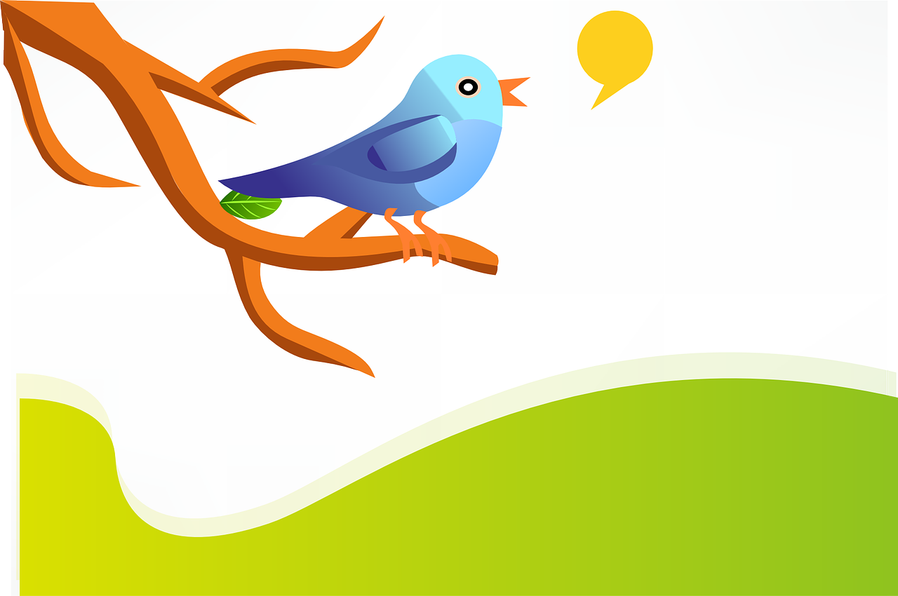 dessin-oiseau-twitter