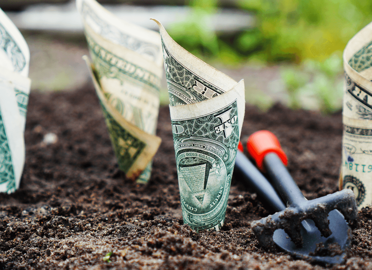 money-growing-from-ground-1