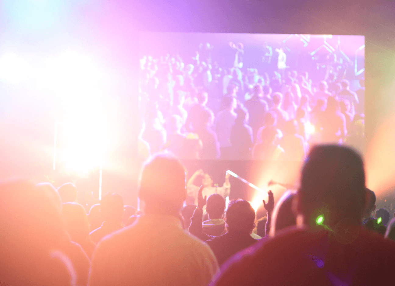 people-at-concert (1)