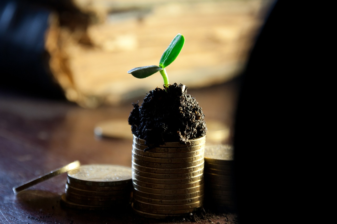 plante-argent