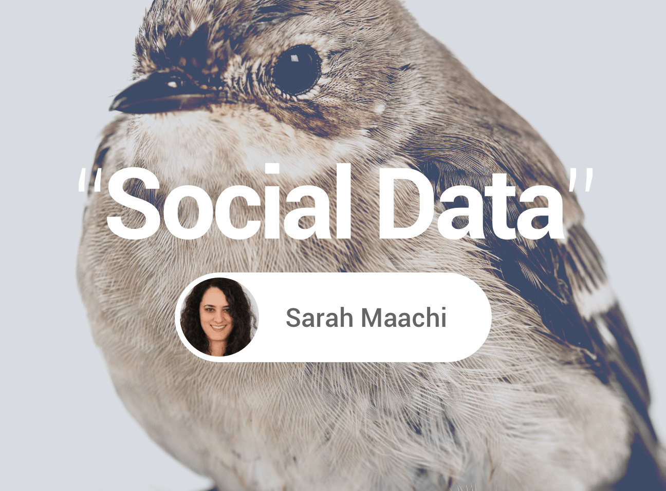 social-data