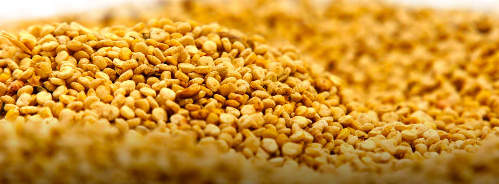 5 piatti tipici salentini che ti faranno perdere la testa - Granu stumpatu