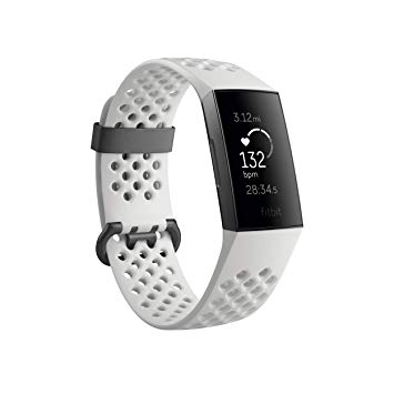 Fitbit-1
