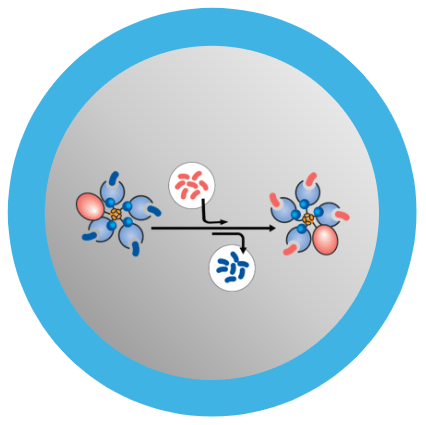 mbli-peptide-screening