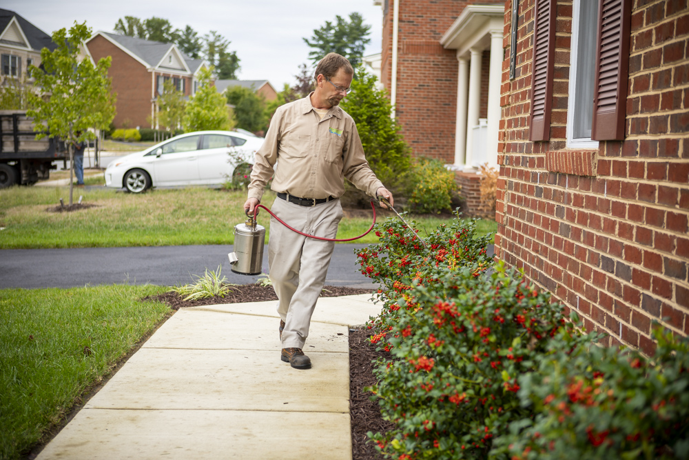 How Much Does Pest Control Cost? Tips for Comparing Pricing & Programs in  Central and Southern MD