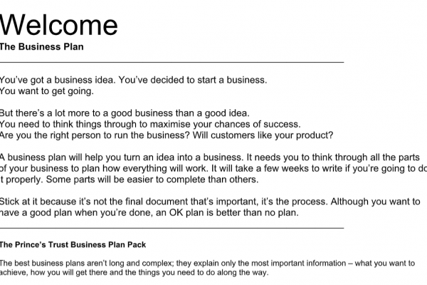 Business Plan