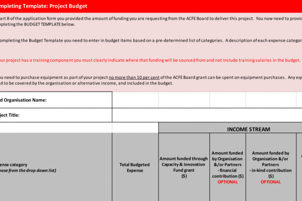 Innovation Project Budget Plan