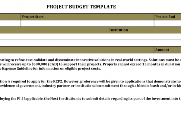 Innovation Project Budget Plan