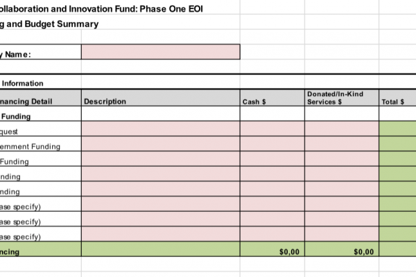 Innovation Project Budget Plan