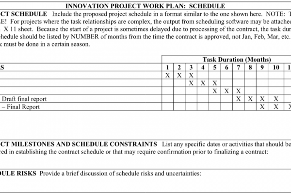 Innovation Project Schedule