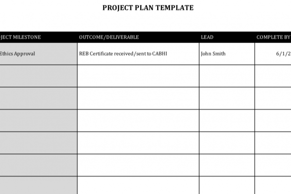 Innovation Project Schedule