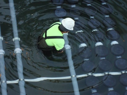 Worker in basin with edi disc diffusers