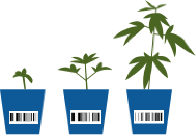 Seed to Sale Interface - SaaS LIMS Feature for Cannabis Quality Control Testing