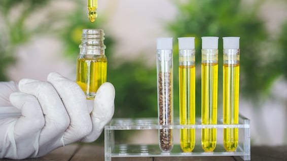 SaaS LIMS for CBD THC Testing