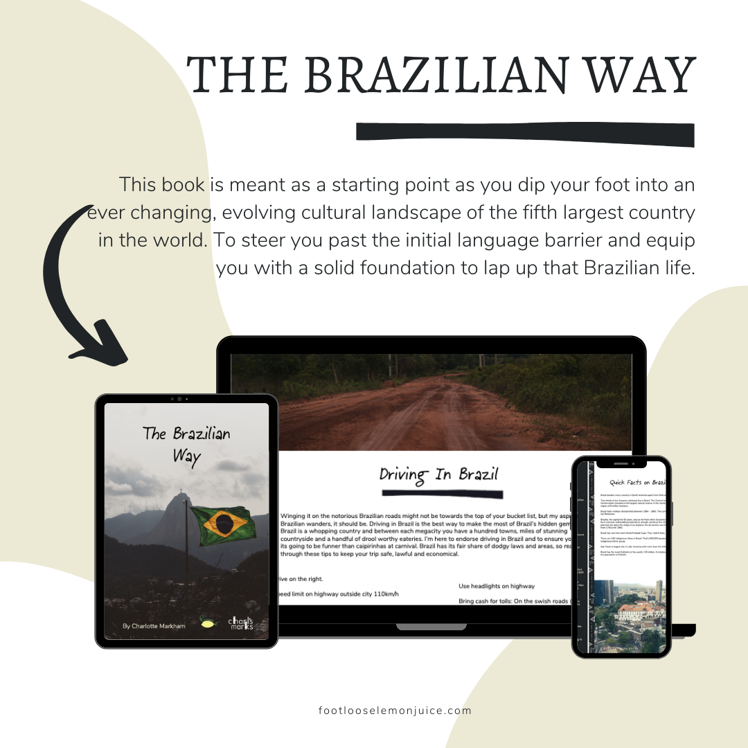 Brazilian Painters - Trading Million Dollar Paintings for Brazilian Painters