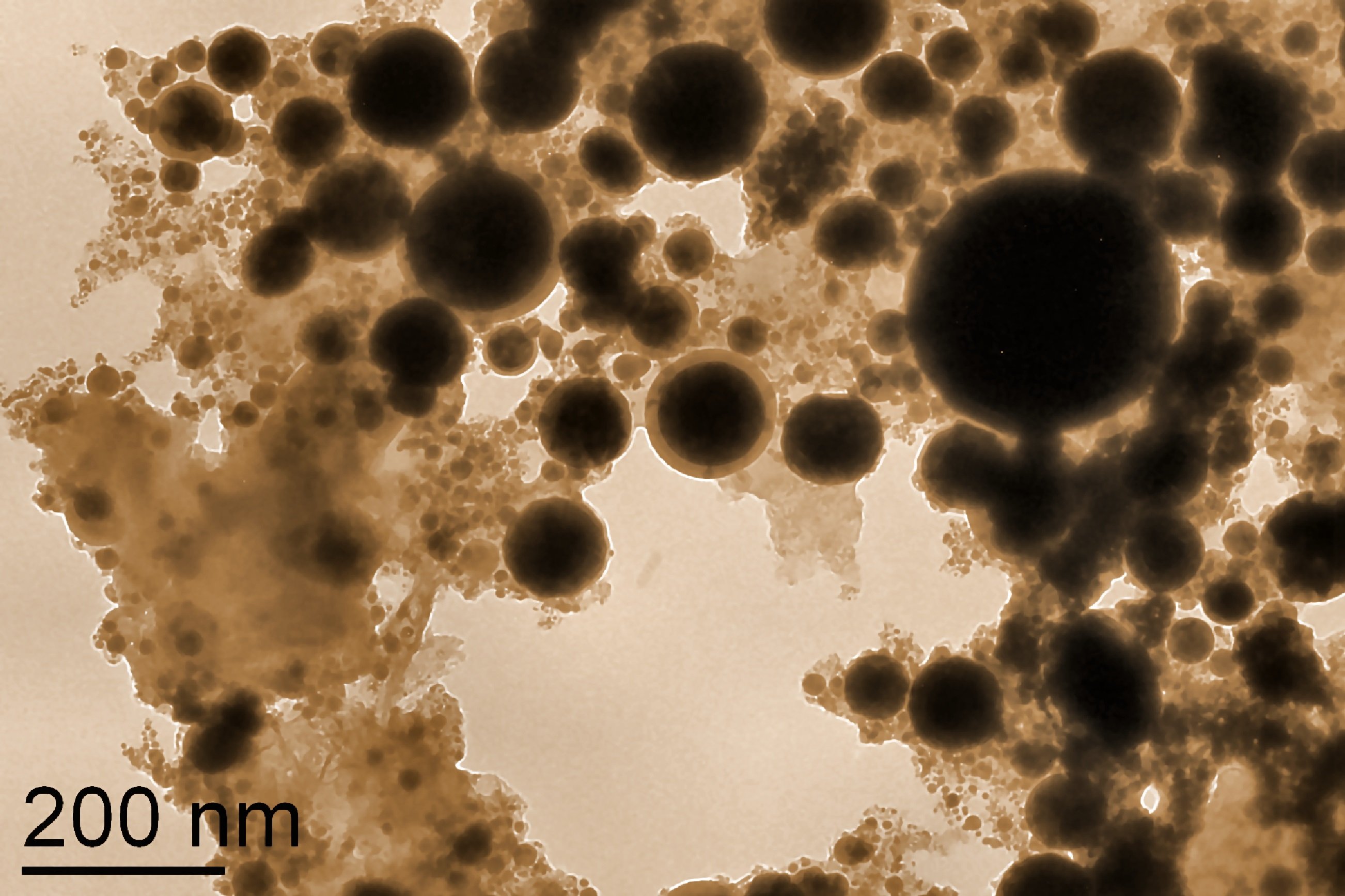 Iron nanoparticles suspended in water.