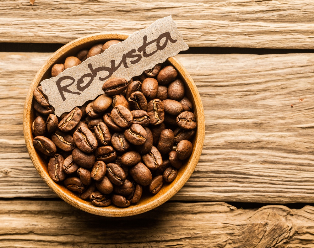 CHBAGRO - Arábica e Robusta: Tudo sobre os principais tipos de café