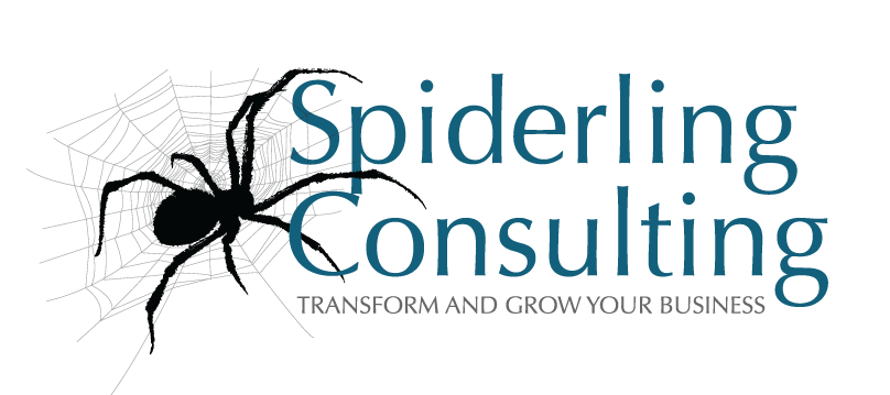 Spiderling Consulting Ltd