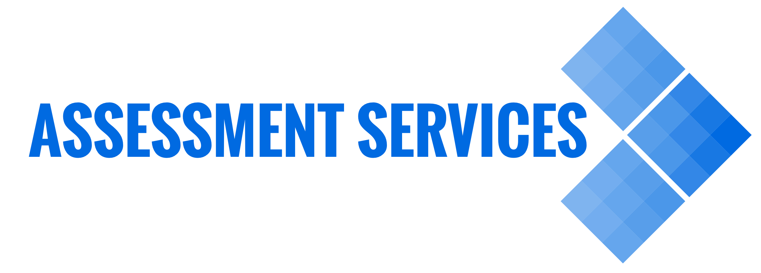 Assessment Services Logo