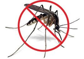 home-mosquito-control